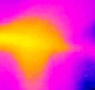 Termografia infiltrazione d'acqua dal soffitto localizzata con la Termocamera a infrarossi